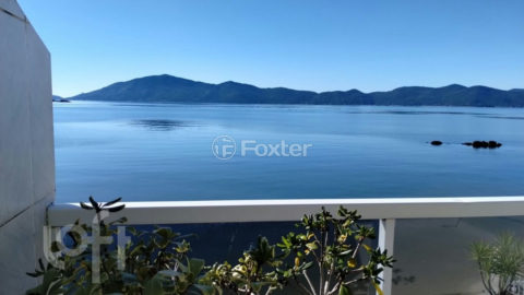 Image 6 - 973556