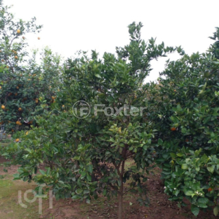Image 3 - 979233