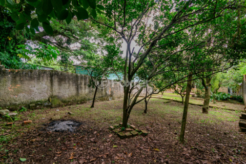 Image 32 - 979440