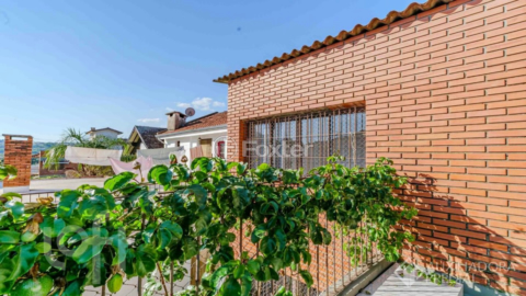 Image 38 - 979798