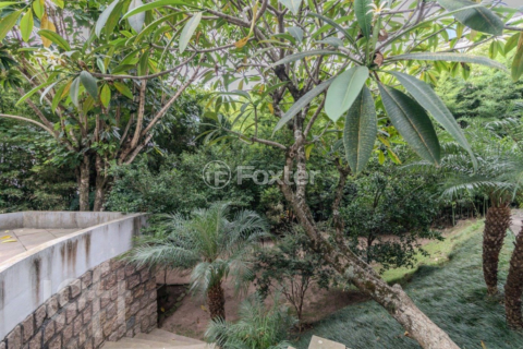 Image 36 - 979870
