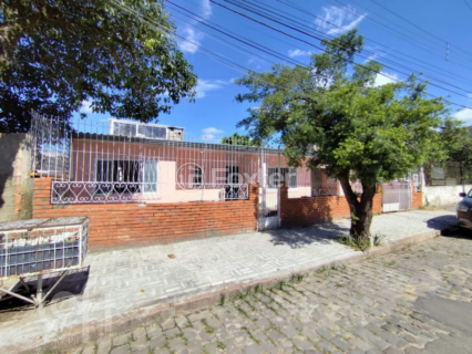 Image 24 - 980037