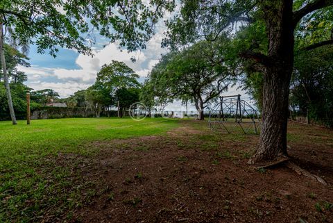 Image 38 - 980223