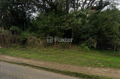 Image 4 - 980337