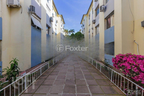 Image 31 - 980589