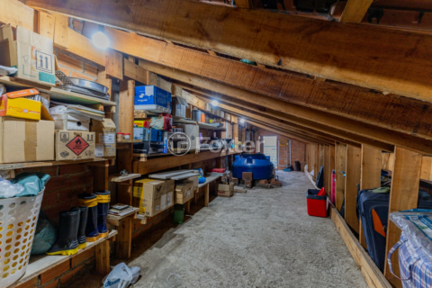 Image 37 - 982379