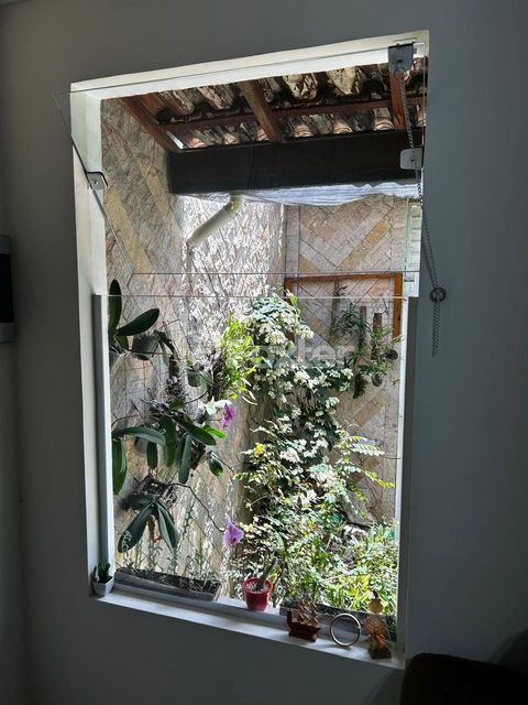 Image 4 - 982393