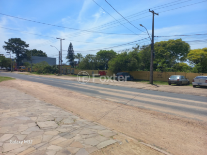Image 3 - 982467