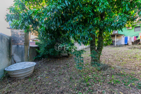 Image 33 - 982502