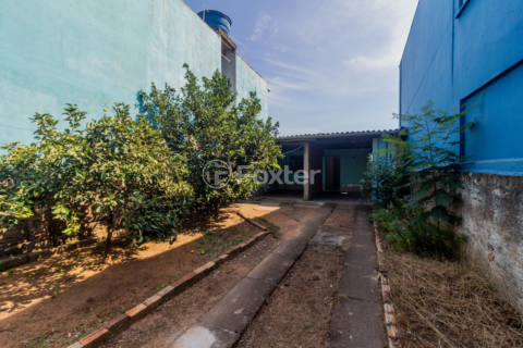 Image 31 - 982628