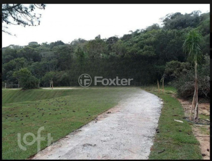 Image 23 - 982886