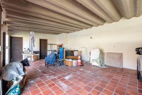 Image 31 - 983739
