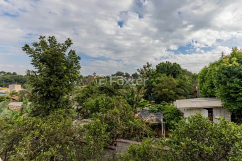 Image 20 - 983821