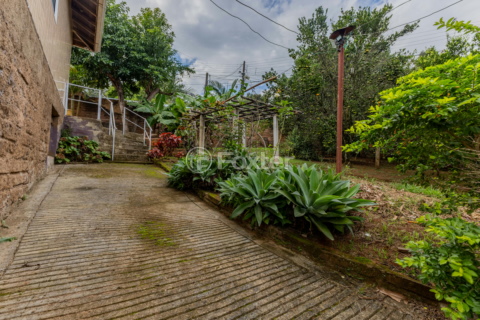 Image 36 - 983821