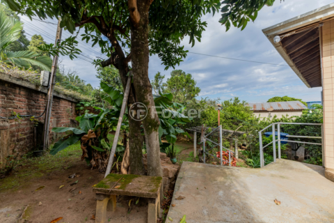 Image 49 - 983821