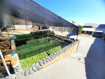 Image 3 - 983983