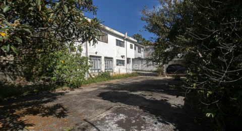 Image 31 - 984430
