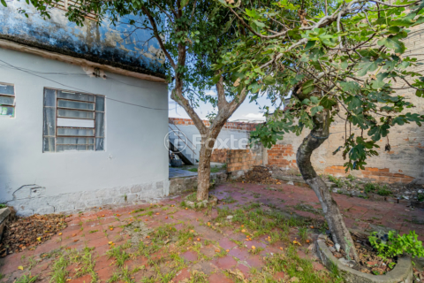 Image 30 - 984543
