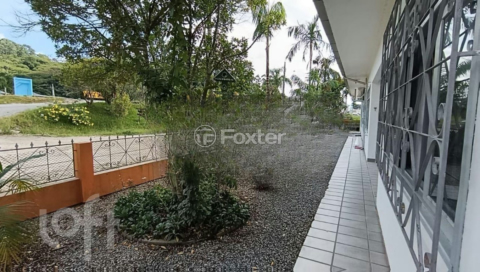 Image 37 - 985865
