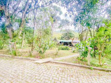 Image 33 - 986121