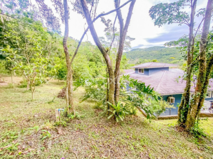 Image 31 - 986121