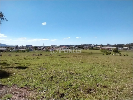 Image 6 - 986249