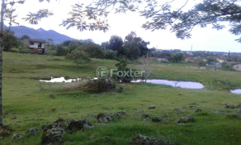 Image 4 - 986249
