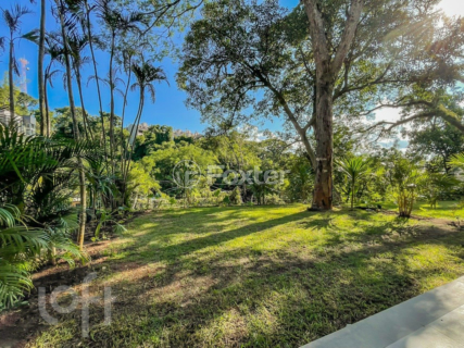 Image 31 - 986354