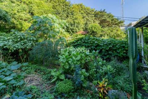 Image 35 - 988217