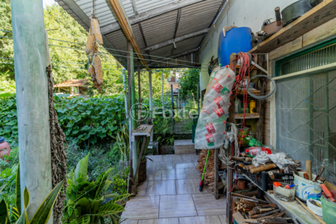 Image 33 - 988217