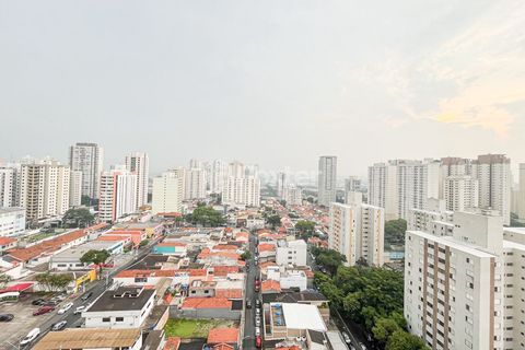 Image 33 - 988977