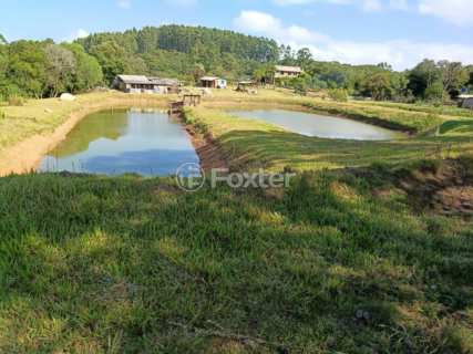 Image 7 - 989284