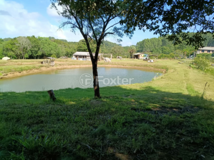 Image 6 - 989284