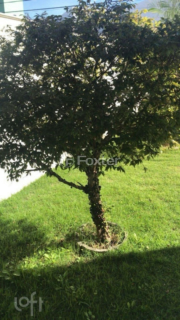 Image 14 - 989414