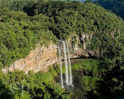 Image 33 - 990621