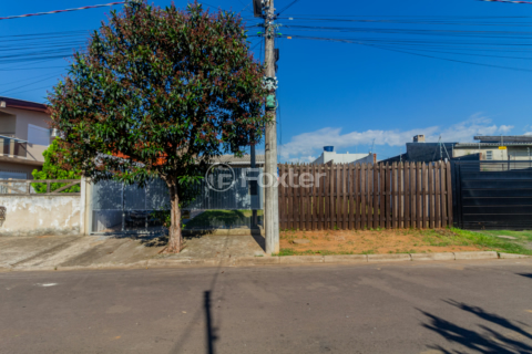Image 33 - 991006