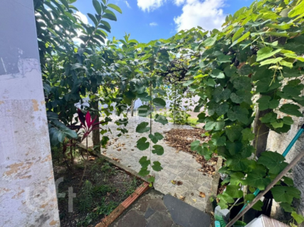 Image 35 - 992299
