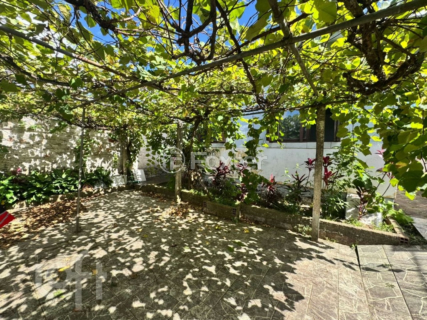 Image 37 - 992299