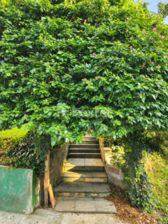Image 13 - 992347