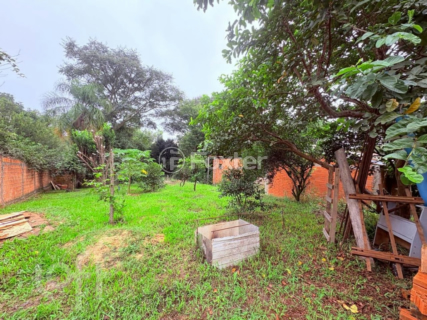 Image 38 - 992434