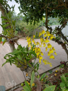 Image 39 - 992924