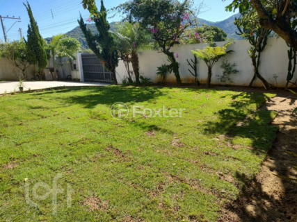 Image 31 - 992924