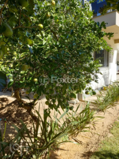 Image 32 - 992924