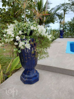 Image 35 - 992924