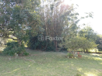 Image 23 - 993280