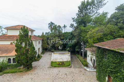 Image 36 - 993336