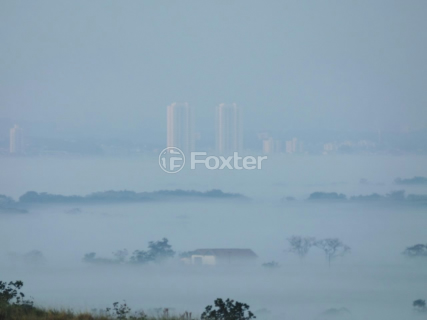 Image 4 - 993753