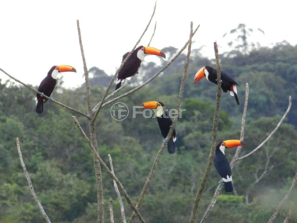 Image 9 - 993753