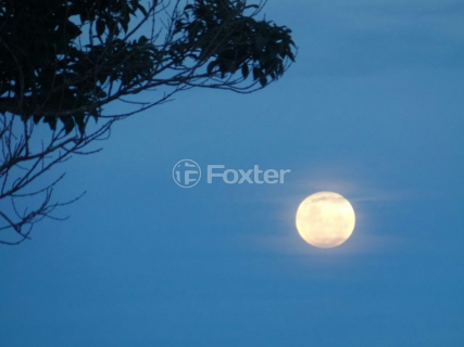 Image 7 - 993753