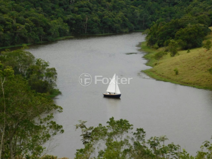 Image 5 - 993753